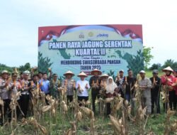 Polres Aceh Utara Ikut Panen Raya Jagung Kuartal II Tahun 2025