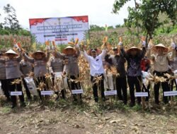 Wakapolda Aceh Panen Raya Jagung Serentak Kuartal II