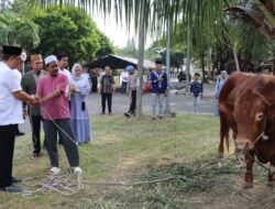 Hari Raya Iduladha 1446 H, Kapolda Aceh Serahkan Hewan Kurban untuk Masyarakat