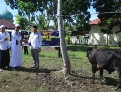 Polres Aceh Utara Salurkan Tujuh Ekor Sapi Qurban Usai Shalat Idul Adha Berjamaah