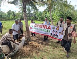 GEMIRA Aceh lakukan Kurban Perdana, Wakil Gubernur Apresiasi Aksi Sosial Anak Muda