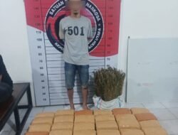 Satresnarkoba Polres Aceh Utara Tangkap Pengedar Ganja, 72 Bal dan 1 Karung Ganja Disita