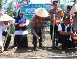 Dukung Swasembada Pangan, Polres Aceh Utara Ikuti Penanaman Jagung Serentak Kuartal III