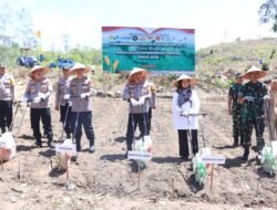 Kuartal IV, Polda Aceh Tanam Jagung di Lahan Seluas 347,87 Hektar