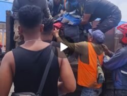 KKB Kembali Berulah di Intan Jaya, Seorang Pekerja Jalan Meninggal Dunia Ditembak