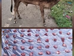 Di Tengah Anggaran Rp70 Miliar Lebih, Warga Korban Banjir Aceh Timur Hanya Terima Segenggam Daging Meugang