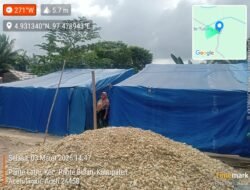 Tiga Bulan Pascabanjir, Warga Pante Labu Masih Bergelut di Bawah Tenda Darurat,Kebutuhan Pangan Kritis