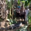 Korban Banjir Bandang di Tanah Jambo Aye Ditemukan Meninggal Dunia di Kebun Warga Gampong Biram Rayeuk