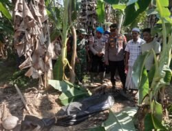 Korban Banjir Bandang di Tanah Jambo Aye Ditemukan Meninggal Dunia di Kebun Warga Gampong Biram Rayeuk
