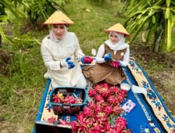Kak Na: Buah Naga Sabang, _Meucrop_ Barang