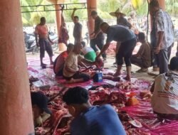 Semangat Menyambut Iduladha 1447 H, Warga Gampong Keulilee Sembelih Hewan Qurban untuk Masyarakat