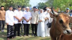 Polda Aceh Serahkan 46 Ekor Hewan Kurban untuk Masyarakat pada Iduladha 1447 H*