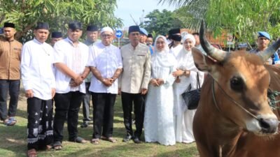 Polda Aceh Serahkan 46 Ekor Hewan Kurban untuk Masyarakat pada Iduladha 1447 H*