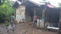 Dua Rumah Warga di Lhoksukon Rusak Tertimpa Pohon Tumbang Akibat Hujan dan Angin Kencang
