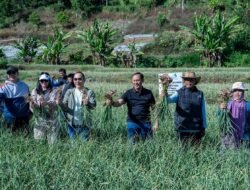 Satgas Pangan Polri Perkuat Swasembada Bawang Putih, Lahan Tanam di Sembalun Capai 534 Hektare