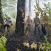 Quick Response Brimob Polda Aceh Tangani Kebakaran Hutan di Lembah Seulawah