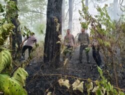 Quick Response Brimob Polda Aceh Tangani Kebakaran Hutan di Lembah Seulawah