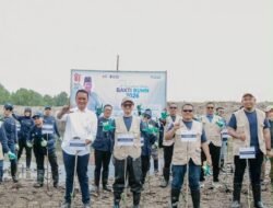 Pulihkan Pesisir Aceh Tamiang, BSI Dan Relawan Bakti BUMN Tanam 15.000 Mangrove