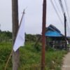 Bendera Putih Kembali Berkibar di Aceh Timur, Ratusan Korban Banjir Kecewa Proses Pemulihan Pascabanjir Belum Jelas