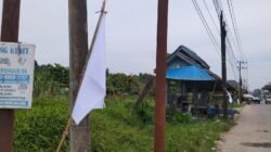Bendera Putih Kembali Berkibar di Aceh Timur, Ratusan Korban Banjir Kecewa Proses Pemulihan Pascabanjir Belum Jelas