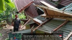 Hujan Lebat Disertai Angin Kencang, Rumah Warga di Lhoksukon Rusak Berat Tertimpa Pohon Tumbang