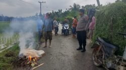 Tragis! Petani di Aceh Utara Tewas Tertimpa Patahan Pohon Kelapa