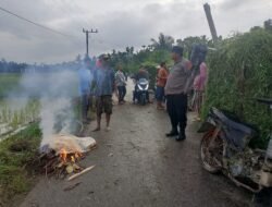 Tragis! Petani di Aceh Utara Tewas Tertimpa Patahan Pohon Kelapa